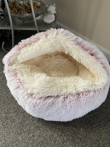Small animal dog cat pink - animal, dog/cat