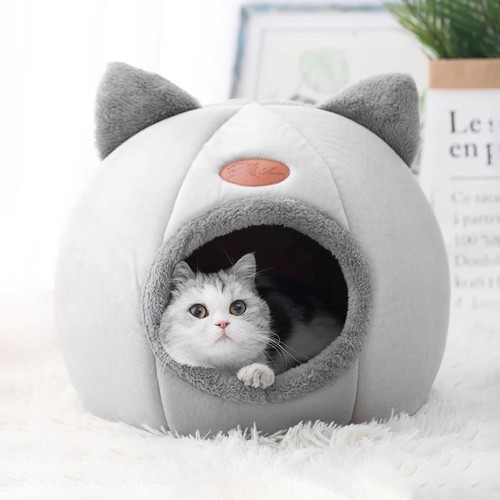 Dog cat bed - dog, kitten
