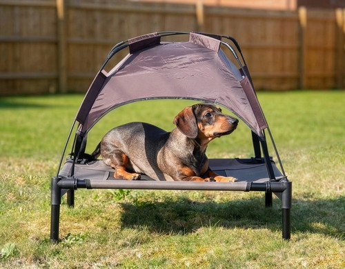 Rosewood sheltered dog - rosewood, bed