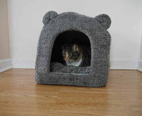 Rosewood teddy bear grey - bear,