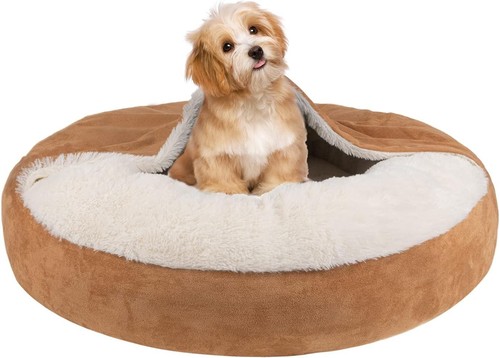 Micooyo hooded dog - hooded,