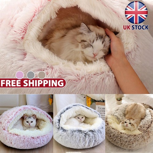 Pet dog cat - pet, calming