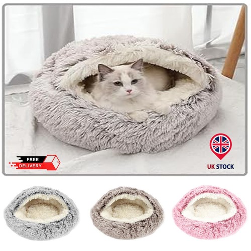 Pet dog cat - dog,