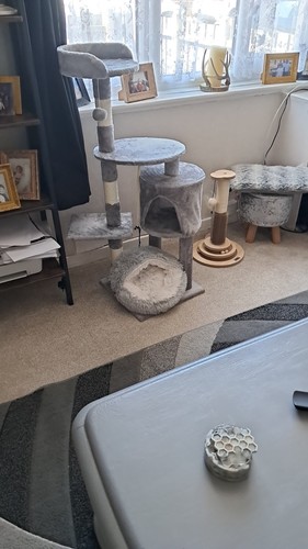 Dog cat bed hooded - cat, kitten