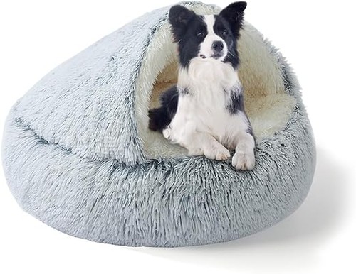 Large dog bed - dog, calming