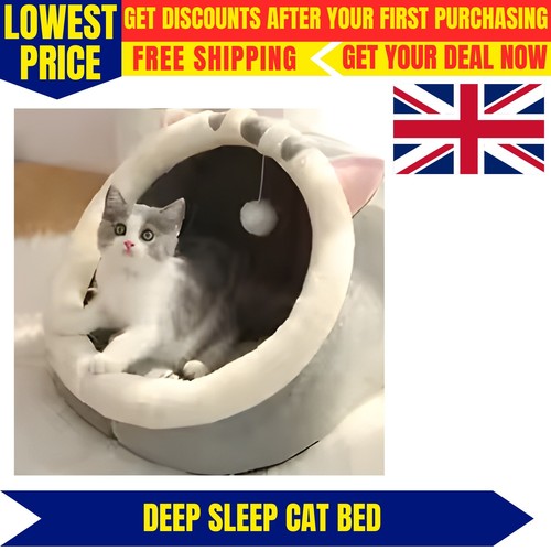 Cozy hooded cat - cozy, &