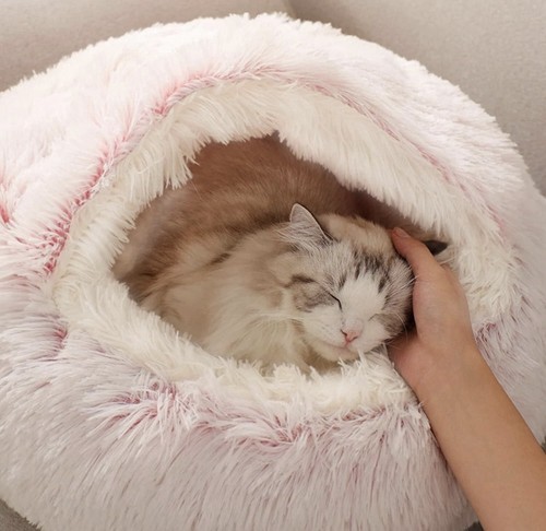 Dog cat bed hooded kitten - hooded, pet
